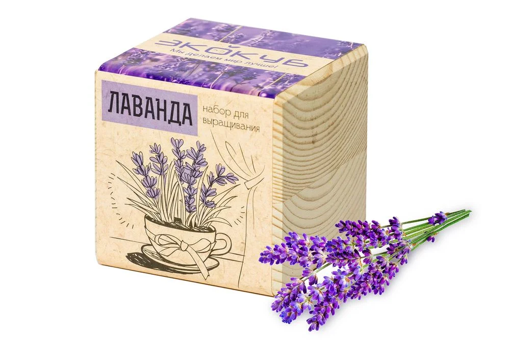 Набор для выращивания Экокуб