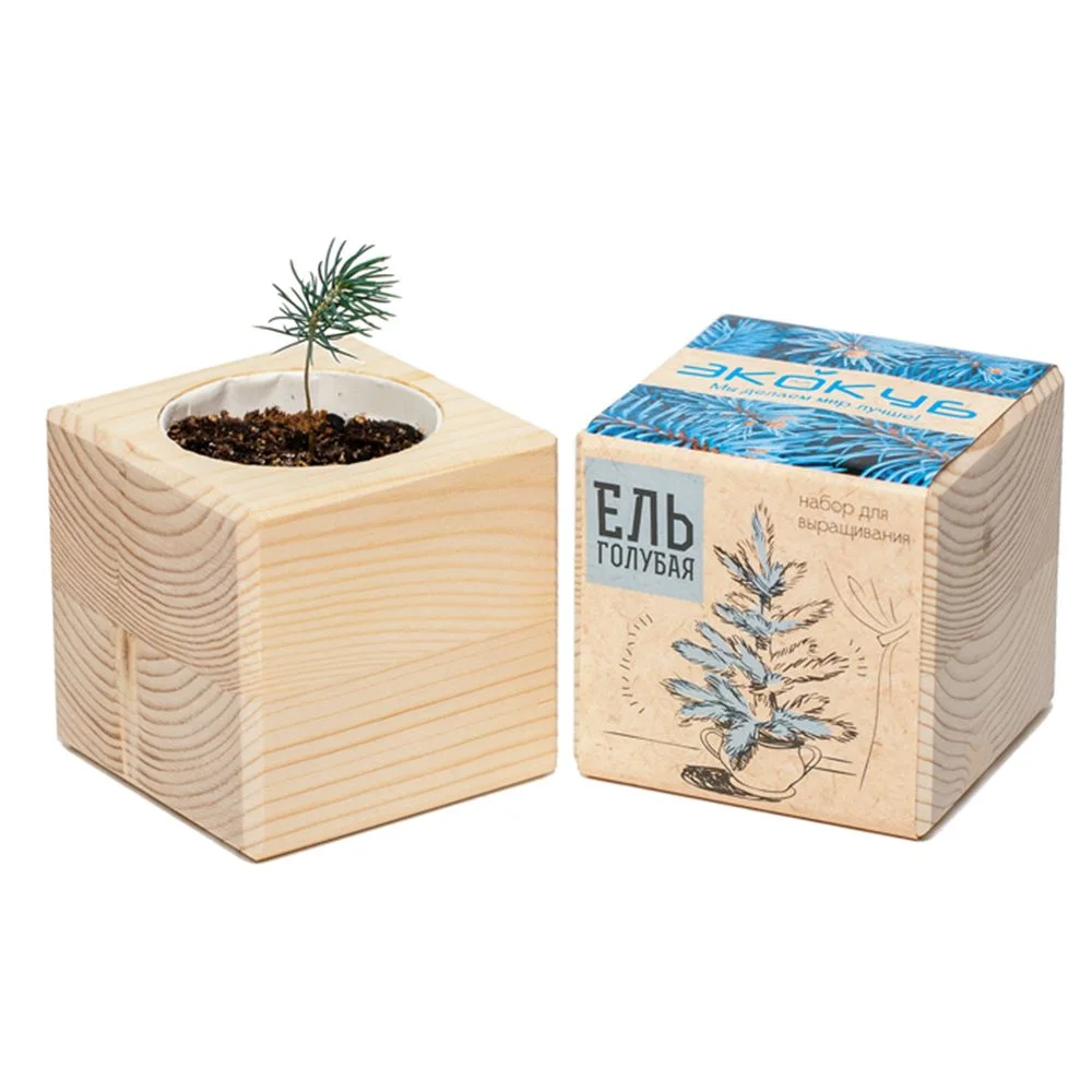Набор для выращивания Экокуб ель голубая - фото 3