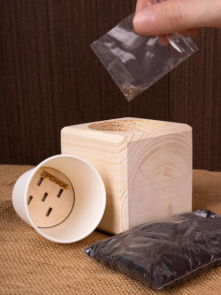 Набор для выращивания Экокуб ель голубая - фото 5