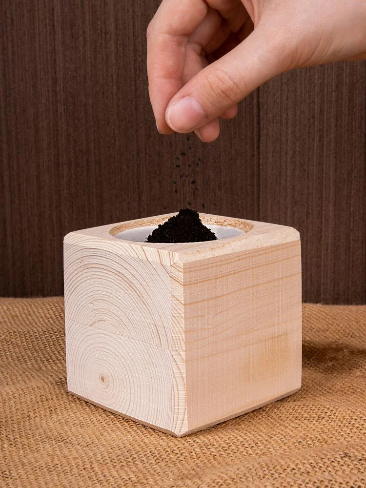 Набор для выращивания Экокуб ель голубая - фото 6