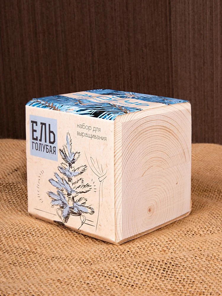Набор для выращивания Экокуб ель голубая - фото 9