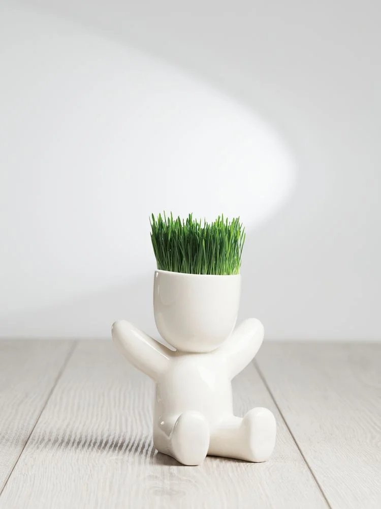 Набор для выращивания Funky Kid - фото 6