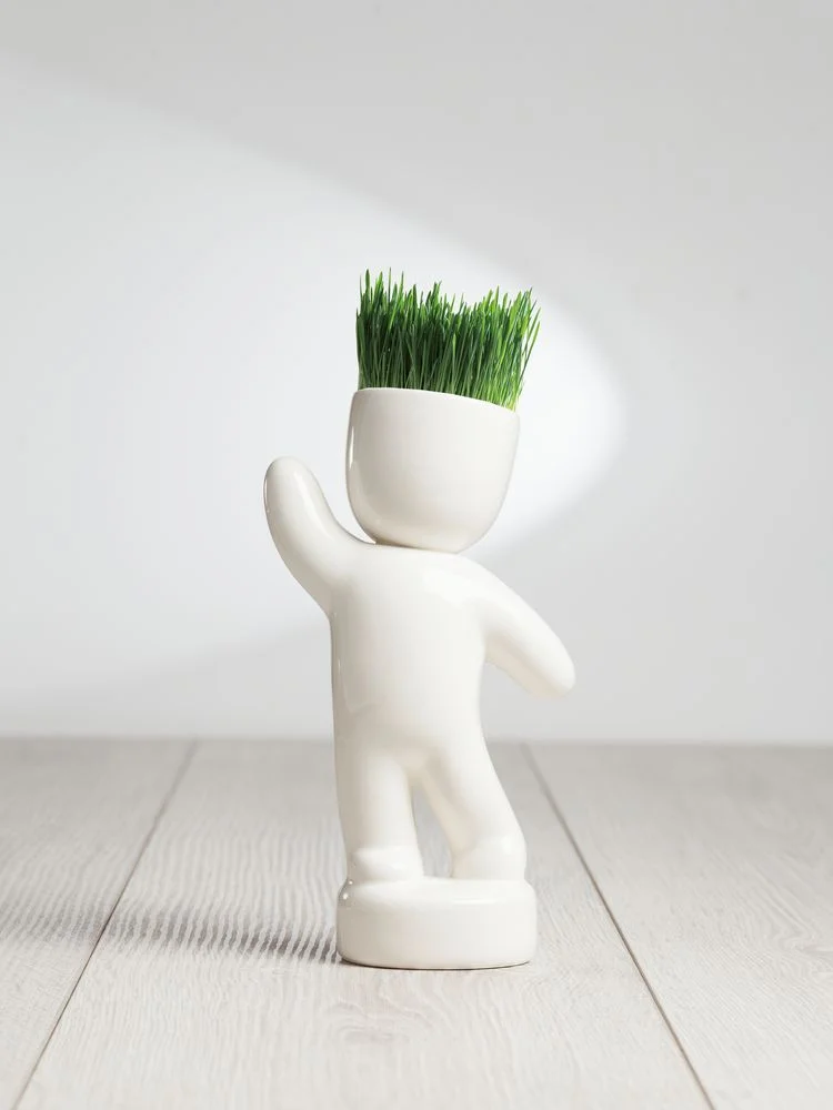 Набор для выращивания Funky Buddy - фото 5