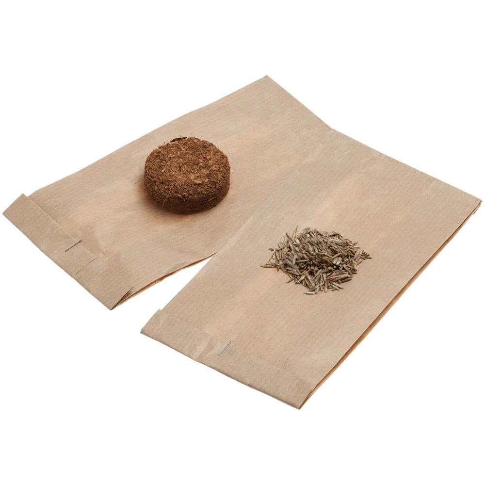 Набор для выращивания Funky Buddy - фото 6