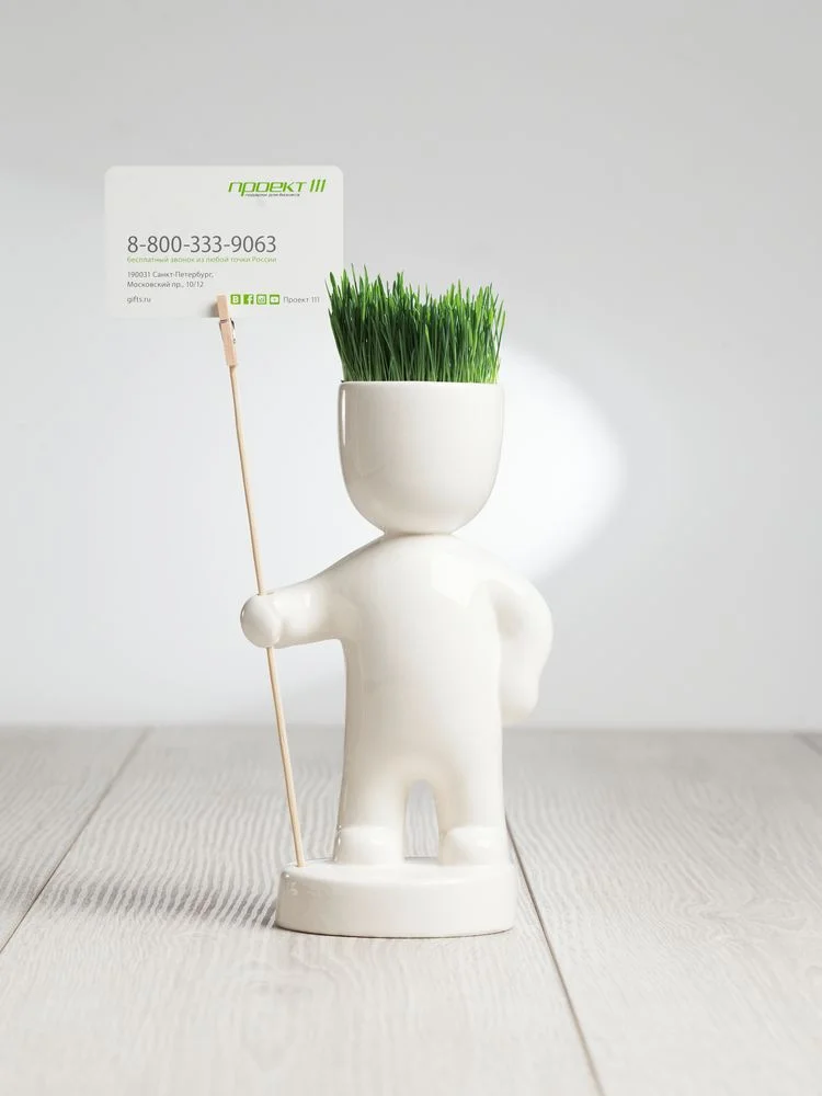 Набор для выращивания Funky Headman - фото 5