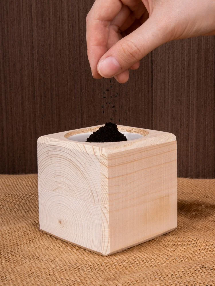 Набор для выращивания Экокуб сосна - фото 7