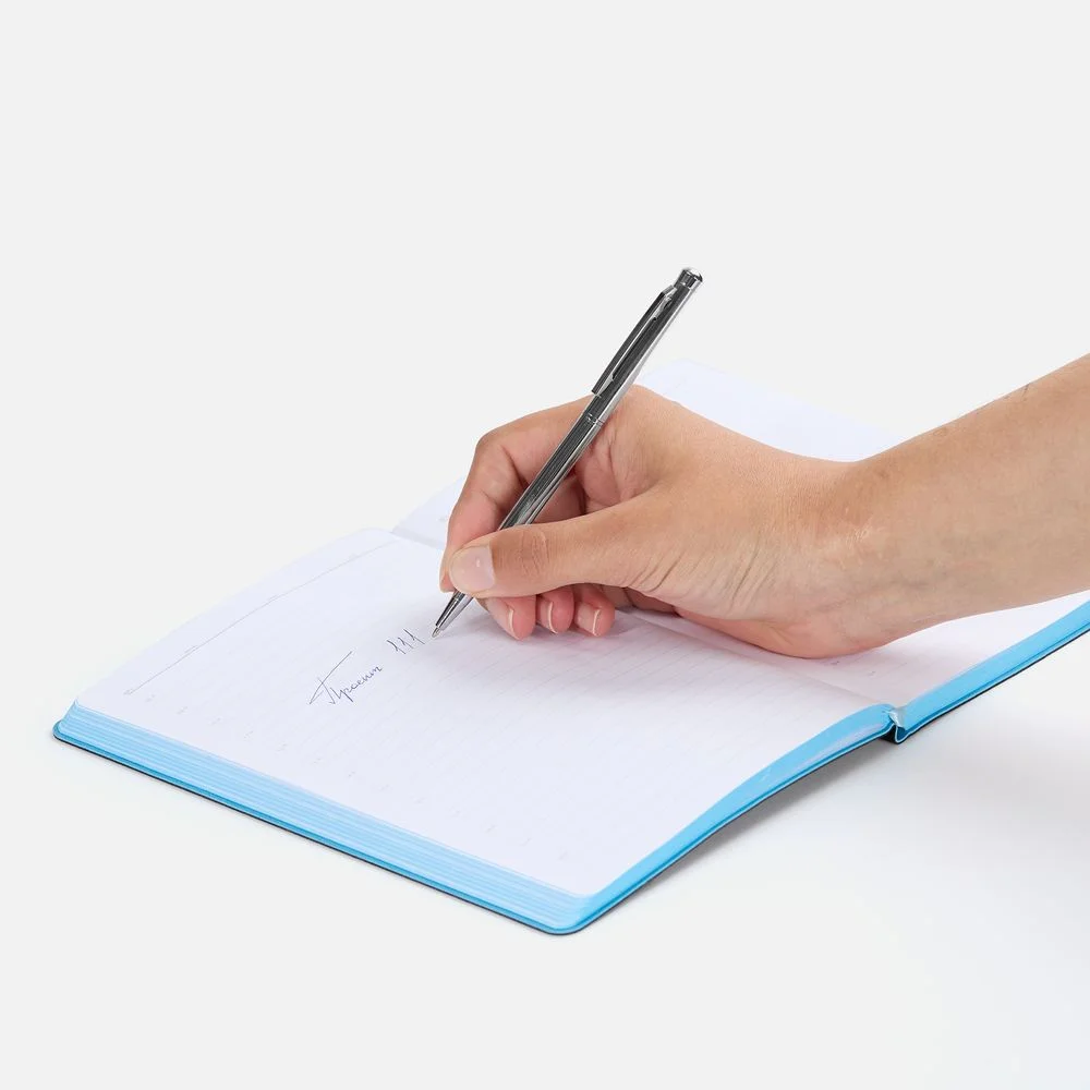 Ручка шариковая Hotel Ferra серебристая - фото 4