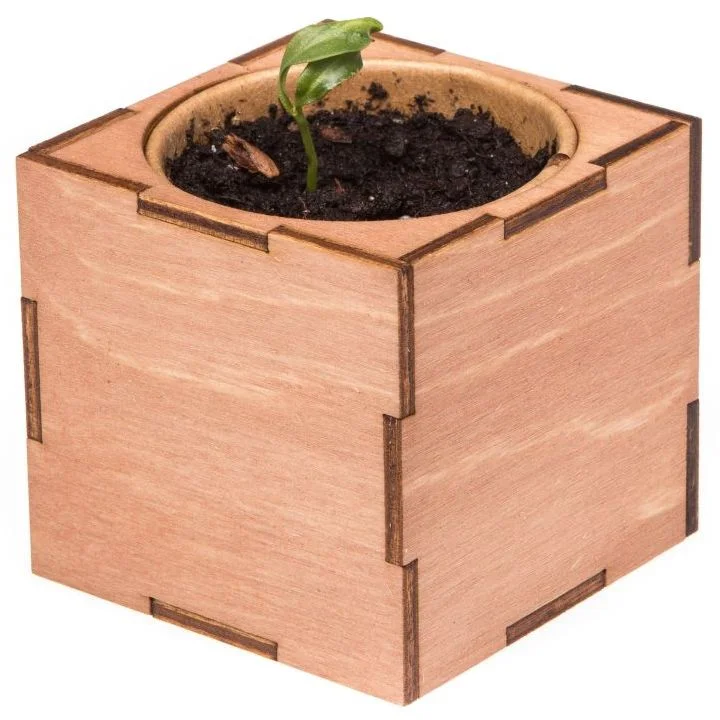 Набор для выращивания Экокуб Lite сирень - фото 6