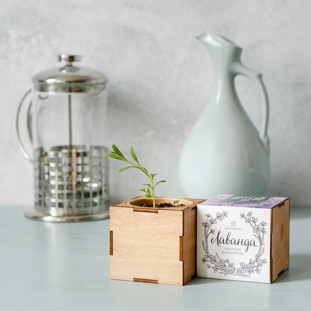 Набор для выращивания «Экокуб Lite», лаванда - фото 2