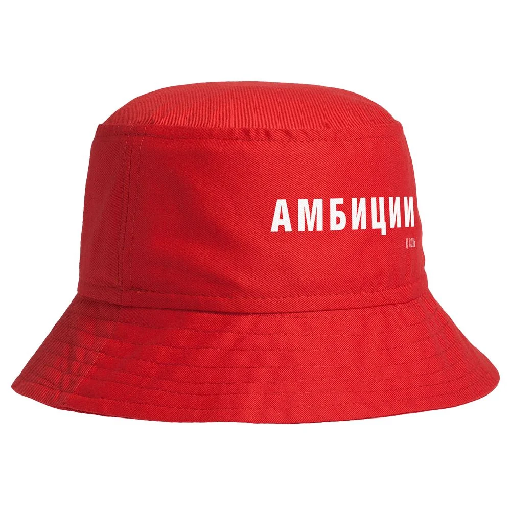 Панама Амбиции - фото 1