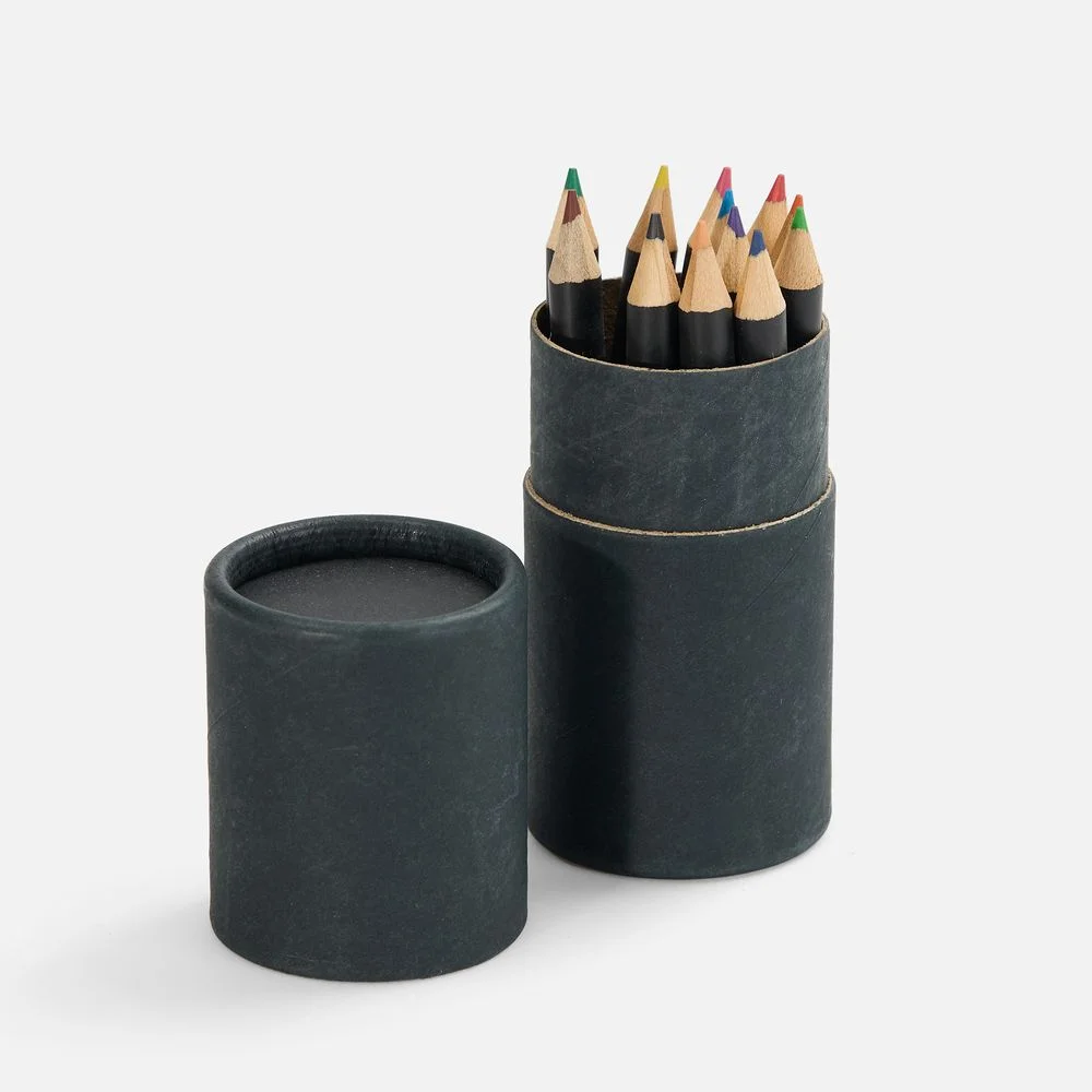 Набор цветных карандашей Pencilvania Tube Plus черный - фото 2