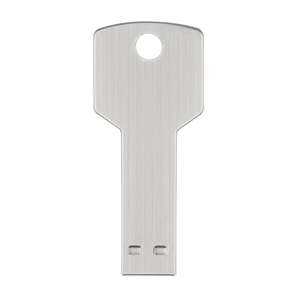 Флешка Металлическая Ключ \Key\ R145 серебряный матовый 1 Гб - фото 2