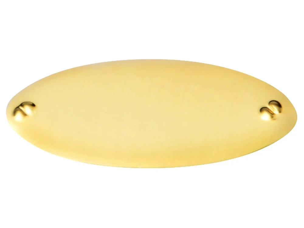 Шильд «Золото» - фото 2