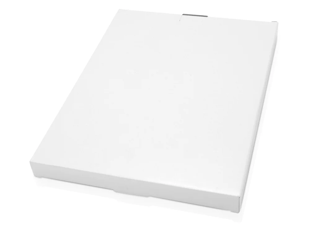 Папка для документов Спрингфилд черный/серебристый - фото 5