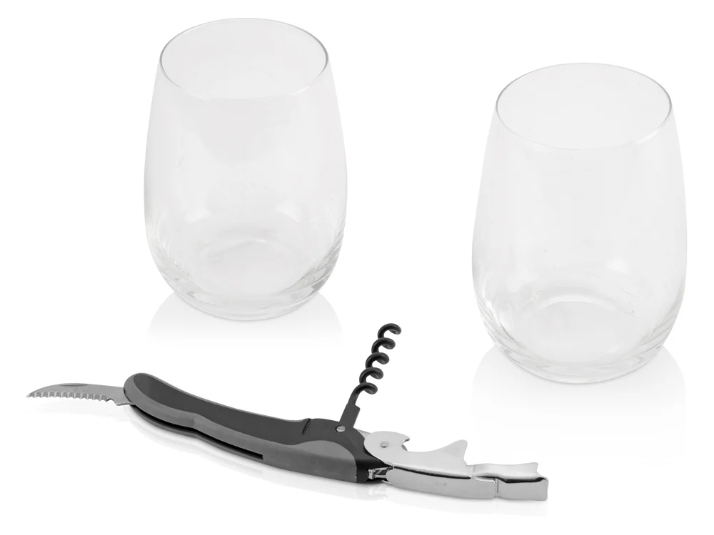 Подарочный набор для вина Шанди черный/серебристый/прозрачный 2 х 445 - фото 2