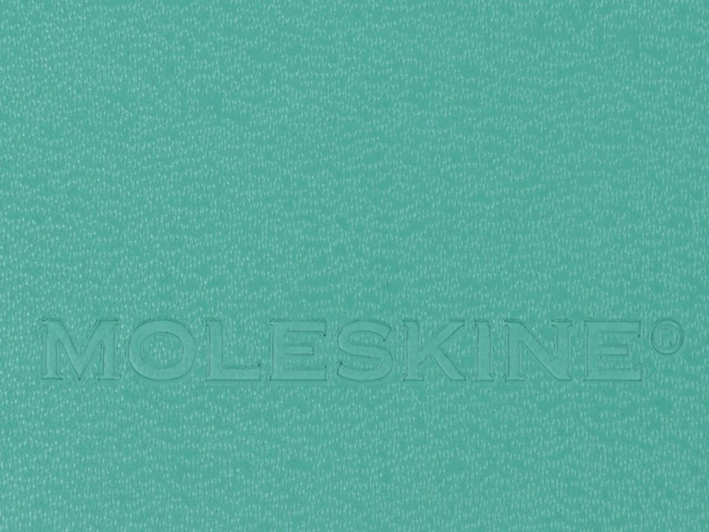 Записная книжка А5 Large Classic в линейку морская волна A5 - фото 7