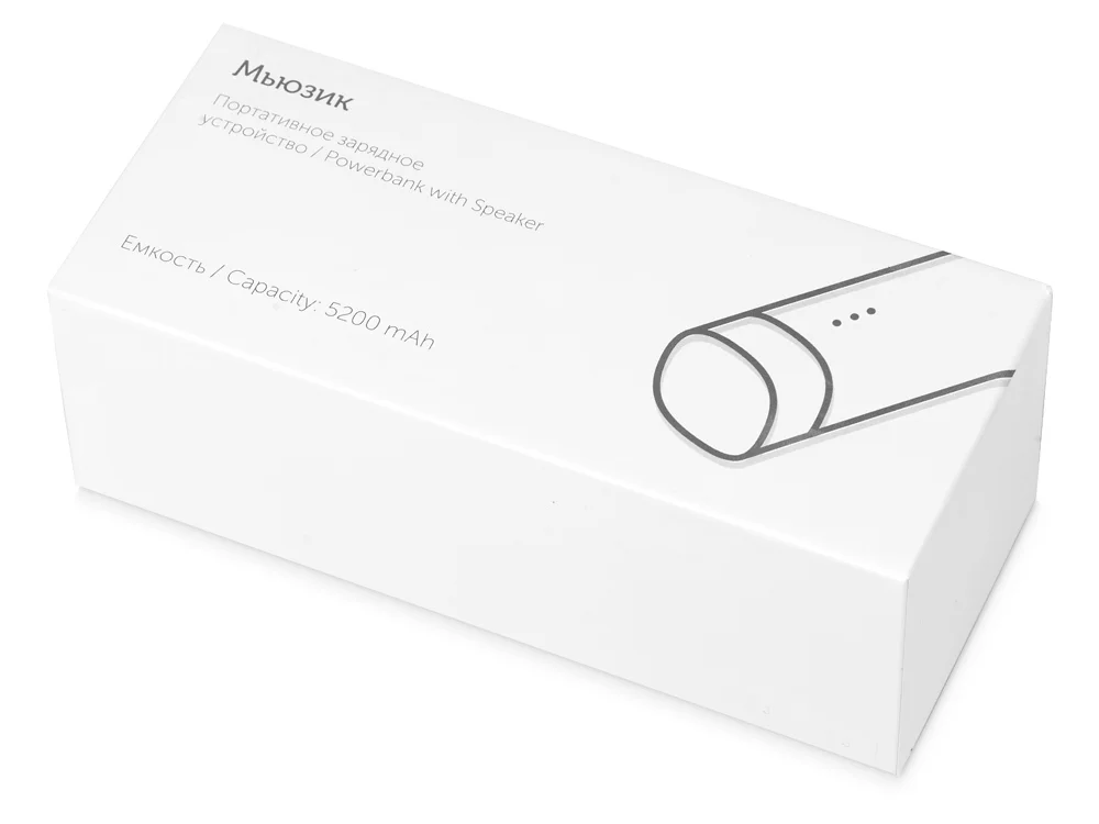 Внешний аккумулятор Мьюзик 5200 mAh серебристый/черный - фото 11