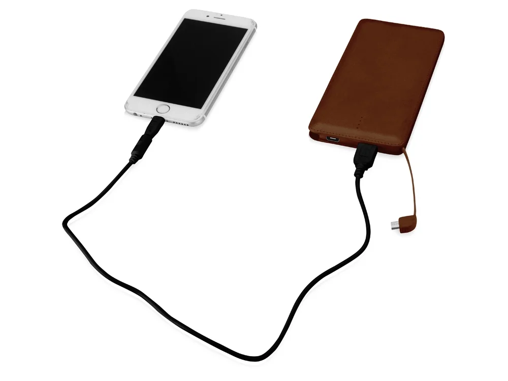 Внешний аккумулятор Стор 10000 mAh коричневый - фото 3