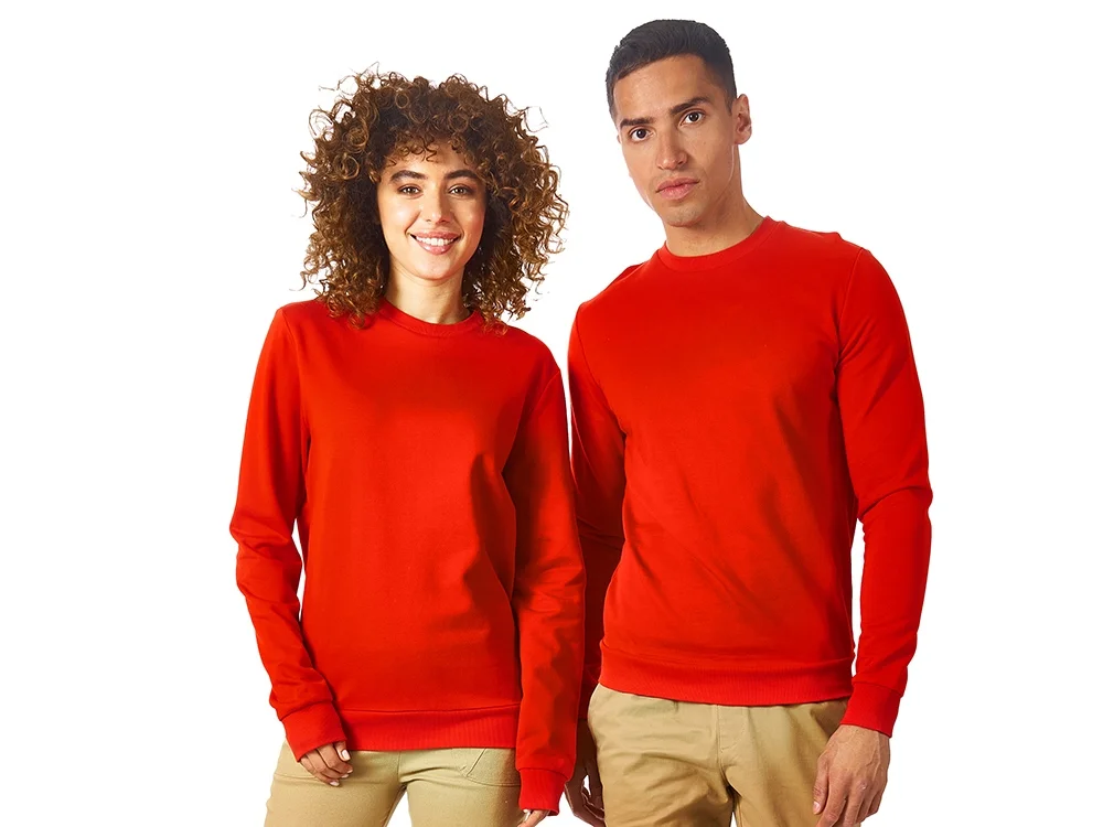 Свитшот Motion с начесом - фото 4