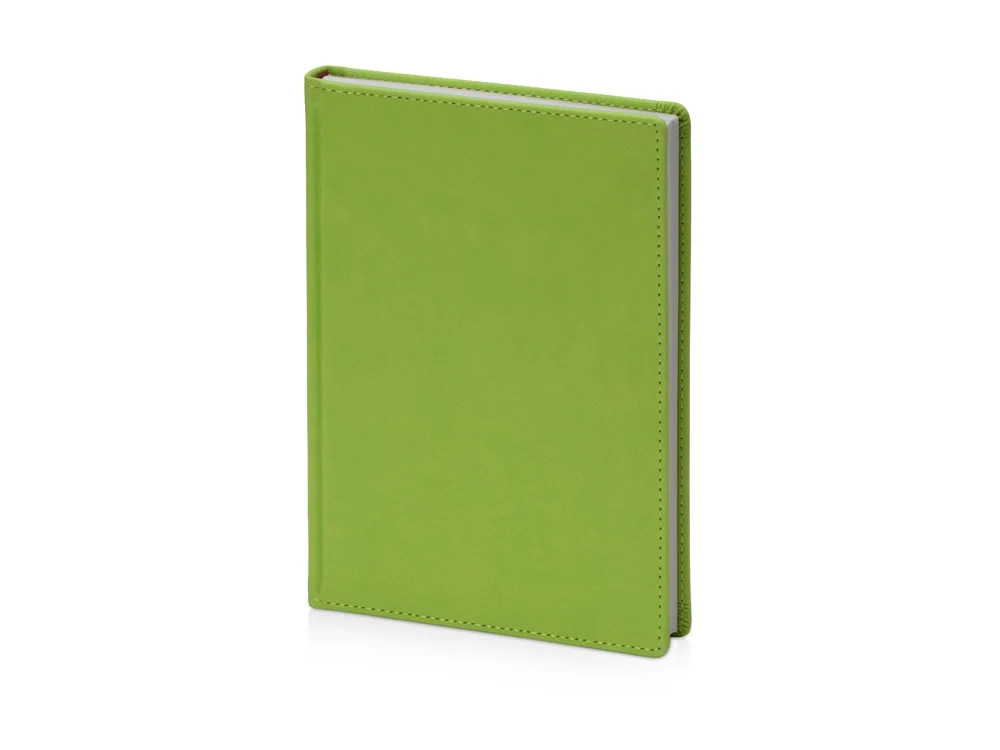 Ежедневник недатированный А6+ Velvet - фото 36