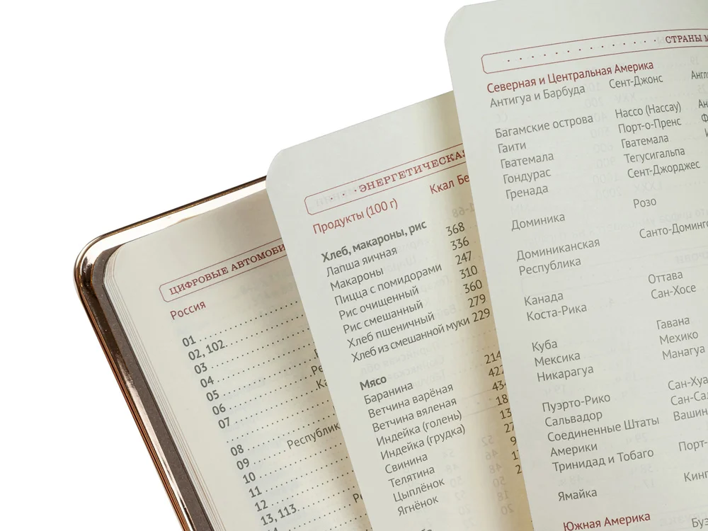 Ежедневник недатированный A5 «Chelsea», черный/золотистый - фото 3