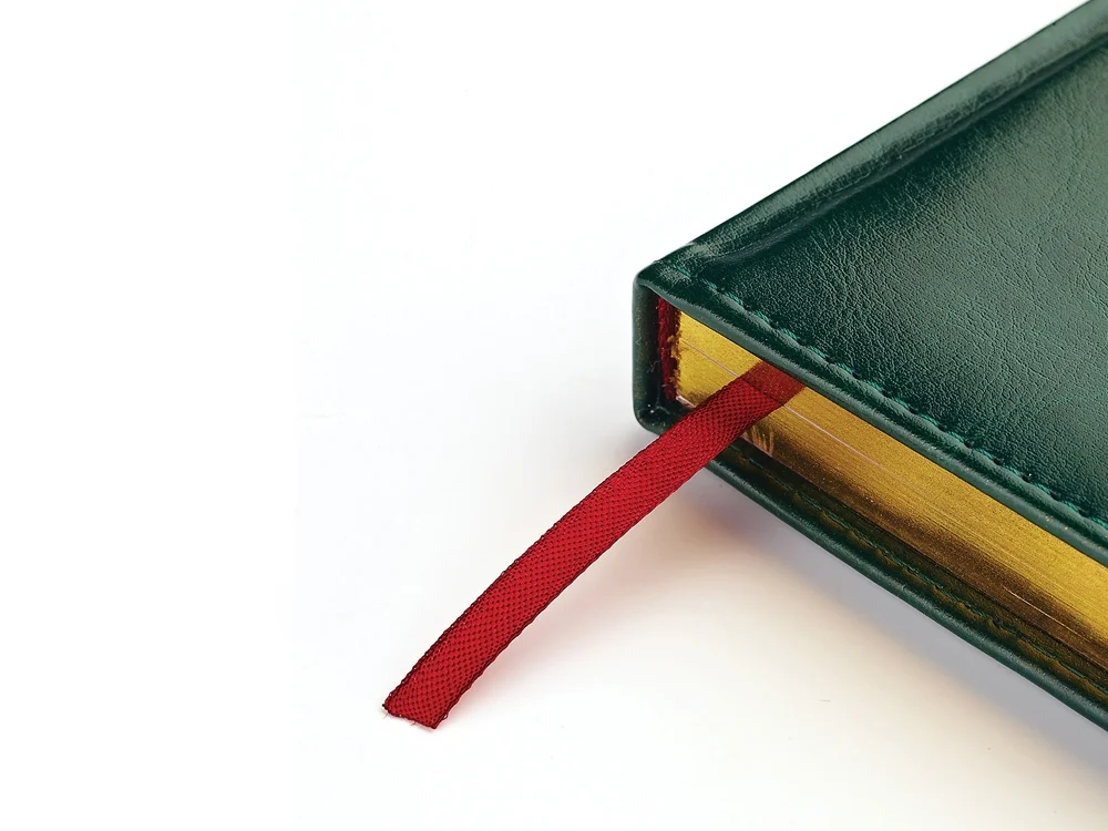 Ежедневник датированный А5 Sidney Nebraska на 2026 год зеленый - фото 4